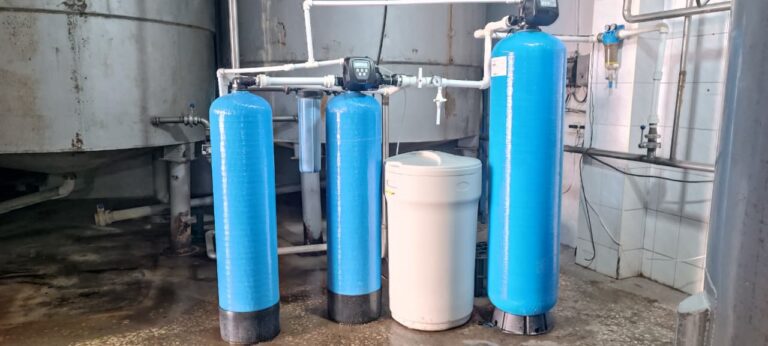 WhatsApp Image 2025-10-31 at 15.56.16_18d7bcd3